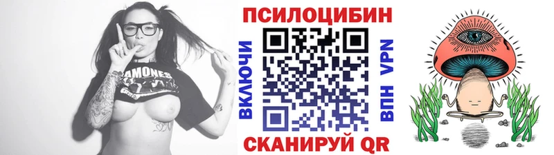 Псилоцибиновые грибы мицелий  omg   Жуковский 