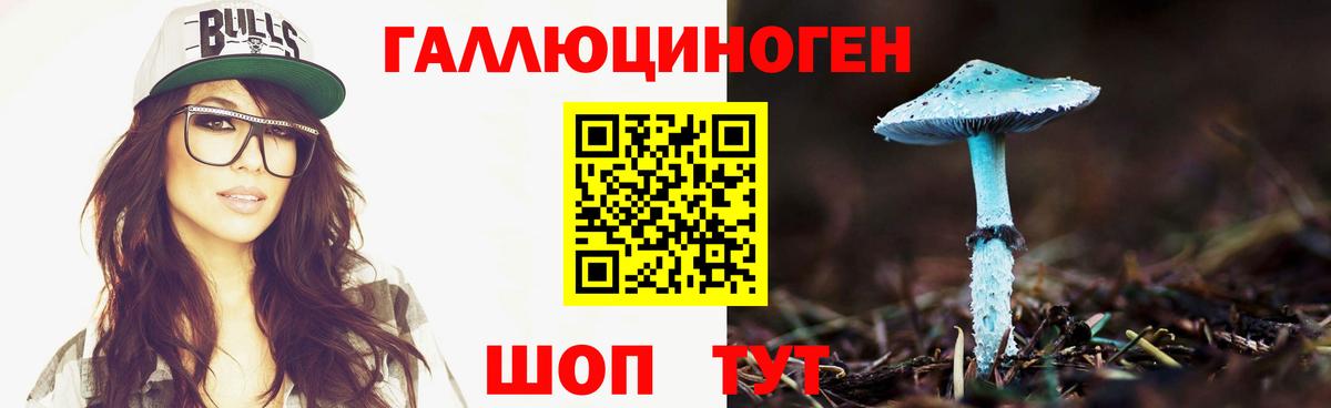 Галлюциногенные грибы Cubensis  цены   Жуковский  Вход с VPN  Галлюциногенные грибы мицелий 