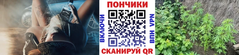 Каннабис марихуана купить сайты Жуковский